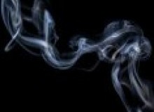 Kwikfynd Drain Smoke Testing
llandilo